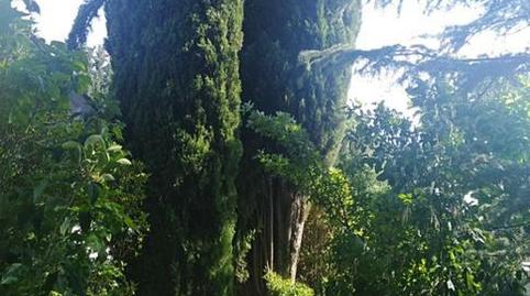 Country house for sale in Plaza Ayuntamiento, 1, Calahorra, La Rioja - image 5 Photo 5 of Country house for sale in Plaza Ayuntamiento, 1, Calahorra, La Rioja