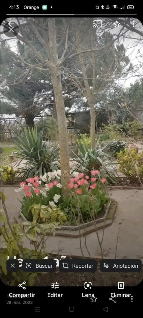Jardín de Finca rústica en venta en Calahorra con Terraza y Balcón