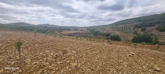 Terreno en Venta en Calle Mesón, 36 en La Vilueña