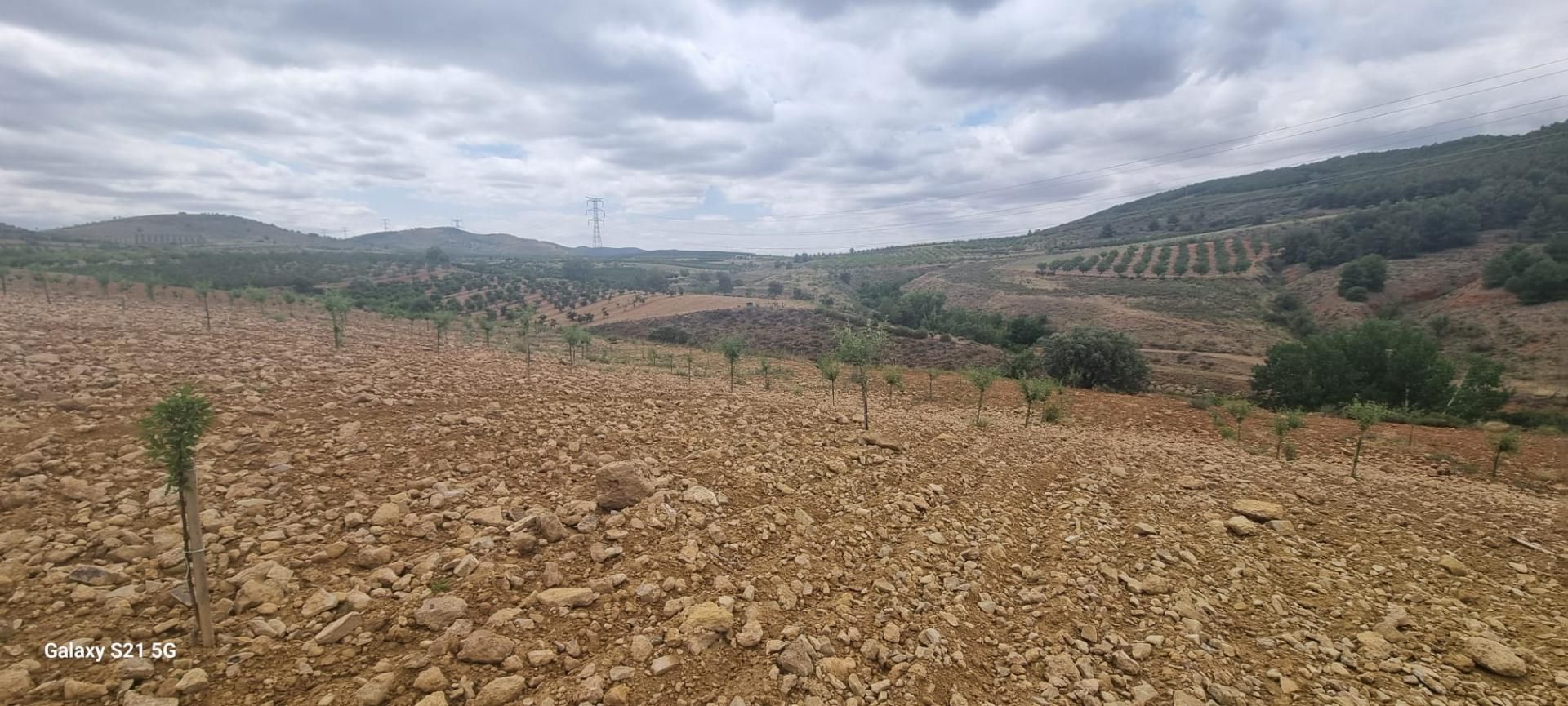 Land for sale in La Vilueña
