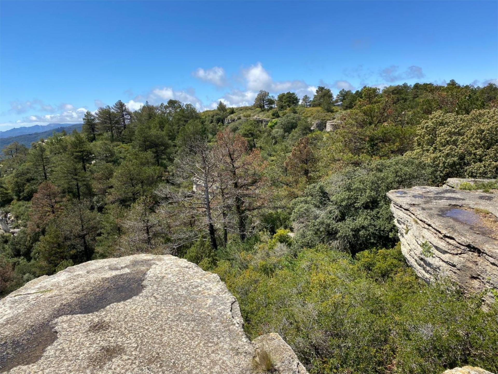 Vista exterior de Finca rústica en venda en Arbolí amb Jardí privat