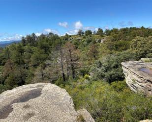 Vista exterior de Finca rústica en venda en Arbolí