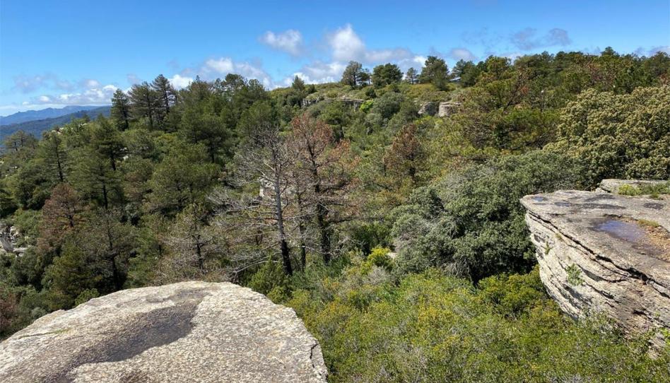Foto 1 de Finca rústica en venda a Tv-7092, 12, Arbolí, Tarragona