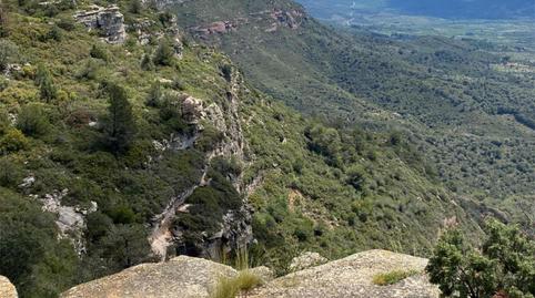Foto 2 de Finca rústica en venda a Tv-7092, 12, Arbolí, Tarragona