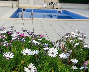 Piscina de Apartament de lloguer en Sant Carles de la Ràpita