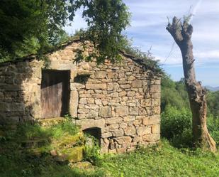 Vista exterior de Casa o xalet en venda en San Roque de Riomiera