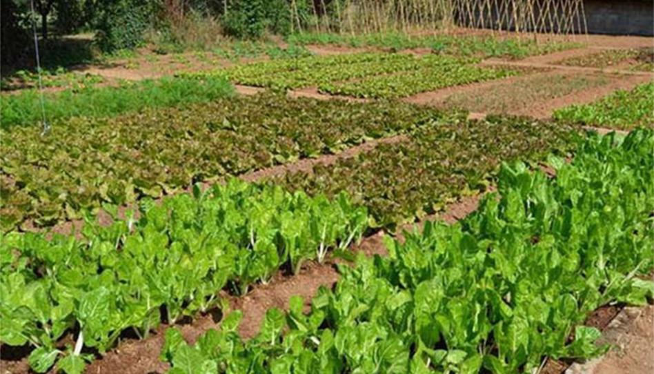 Pis en venda a Calle Mayor, 32, Condado de Treviño, Burgos - imatge 1 Foto 1 de Pis en venda a Calle Mayor, 32, Condado de Treviño, Burgos