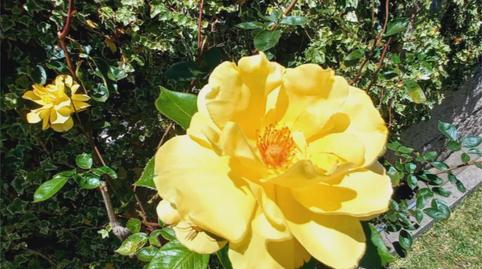 Foto 3 de Casa o xalet en venda a Viaduto de Solláns, 16, Teo, A Coruña