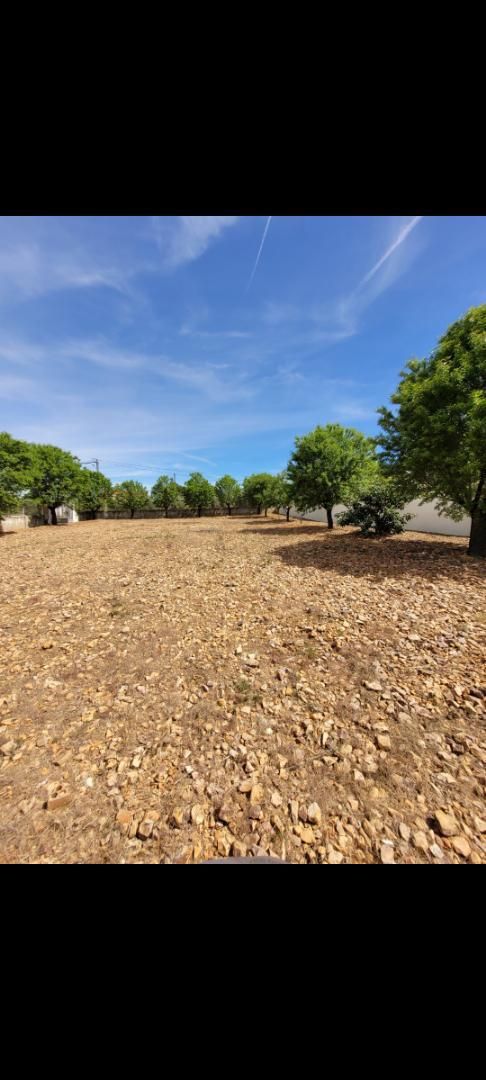 Land for sale in Puerto Lápice