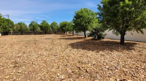 Foto 2 de Terreny en venda a Calle Poniente, 5, Puerto Lápice, Ciudad Real