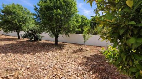 Foto 4 de Terreny en venda a Calle Poniente, 5, Puerto Lápice, Ciudad Real