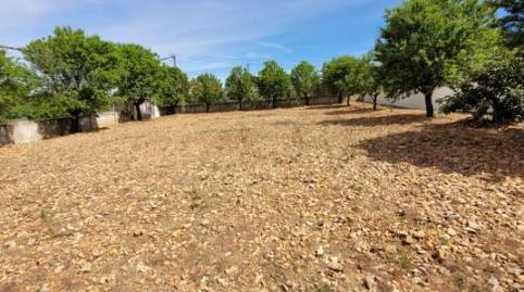 Foto 5 de Terreny en venda a Calle Poniente, 5, Puerto Lápice, Ciudad Real