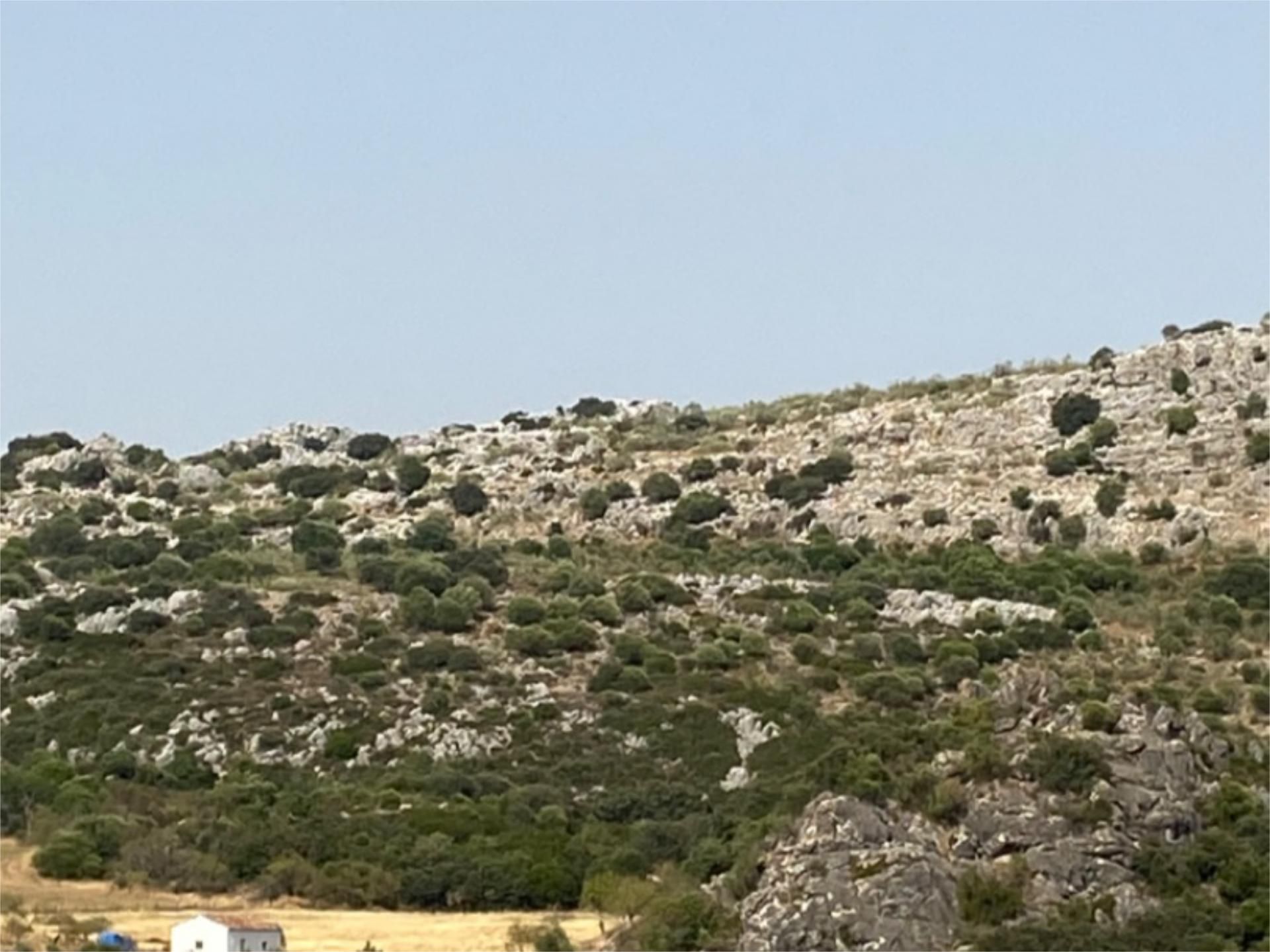 Finca rústica en venda en Montejaque amb Moblat