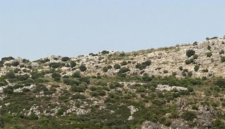 Finca rústica en venda a Barriada Santiago, 56, Montejaque, Málaga - imatge 1 Foto 1 de Finca rústica en venda a Barriada Santiago, 56, Montejaque, Málaga