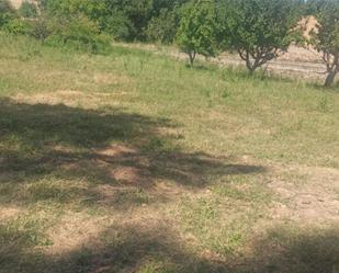 Land for sale in Sotorribas