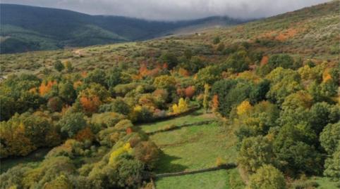 Terreny en venda a Calle de la Plazuela, 32b, La Acebeda, Madrid - imatge 3 Foto 3 de Terreny en venda a Calle de la Plazuela, 32b, La Acebeda, Madrid