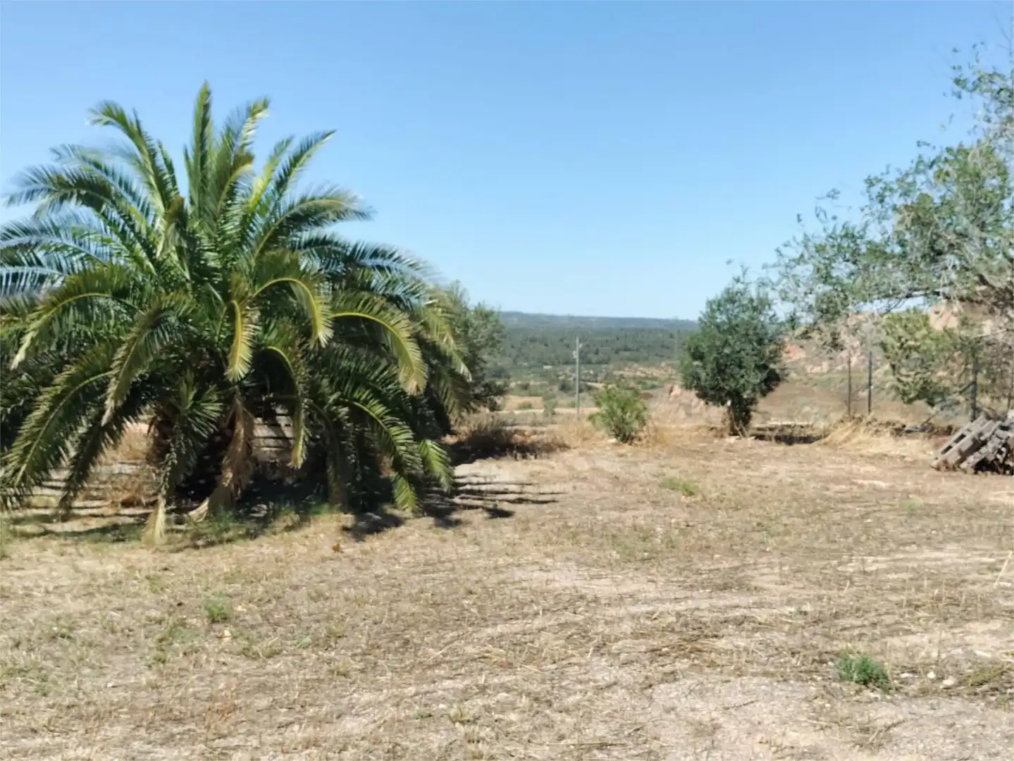 Constructible Land for sale in Camí de la Vall, 10, Granyena de les Garrigues Constructible Land for sale in Granyena de les Garrigues