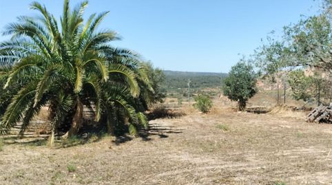 Foto 5 de Urbanizable en venta en Camí de la Vall, 10, Granyena de les Garrigues, Lleida