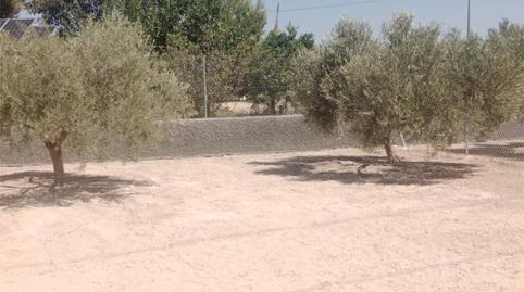 Foto 2 de Garatge de lloguer a Lugar Peña Aguilas Urbanizable, 9016, Peña de las Águilas, Alicante