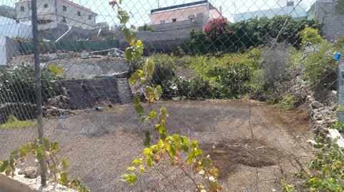Constructible Land for sale in Calle Pino del Aire, 26, Chío, Santa Cruz de Tenerife - image 3 Photo 3 of Constructible Land for sale in Calle Pino del Aire, 26, Chío, Santa Cruz de Tenerife