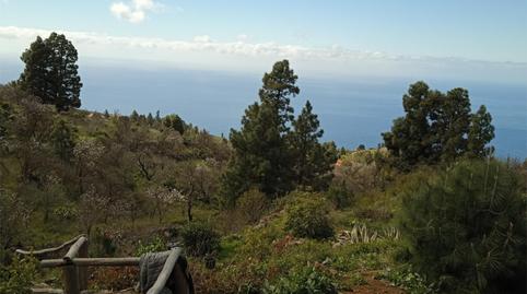 Photo 3 of Country house for sale in La Pasada, 16, Tijarafe, Santa Cruz de Tenerife