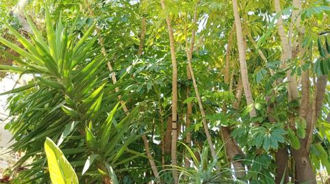 Casa adosada de alquiler en Carrer Llobarro, 5, Barranco Hondo, Alicante - imagen 5 Foto 5 de Casa adosada de alquiler en Carrer Llobarro, 5, Barranco Hondo, Alicante