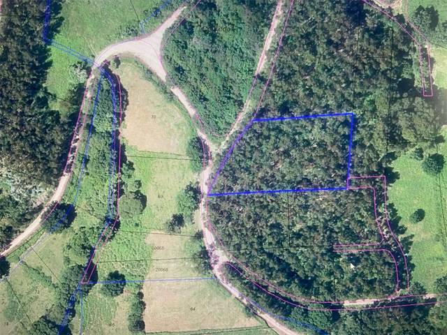 Terreno en Venta en Lugar O Mallo, 12 en Cotobade