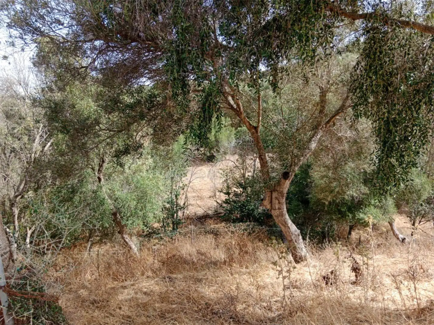 Finca rústica en venta en Ca-5201, 16, Vejer Finca rústica en venta en Vejer de la Frontera