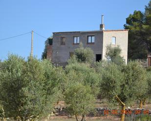 Vista exterior de Finca rústica en venda en Fulleda amb Traster