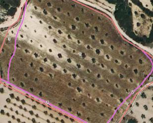 Non-constructible Land for sale in Calaceite