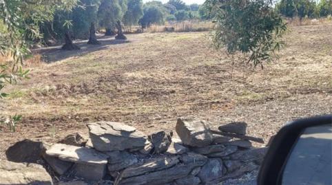 Photo 3 of Land for sale in Calle Cordel, 39, Puebla de Obando, Badajoz