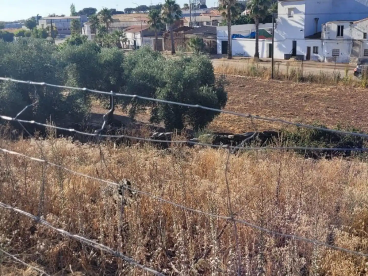 Terreno en venta en Calle Cordel, 39, Puebla de Obando Terreno en venta en Puebla de Obando