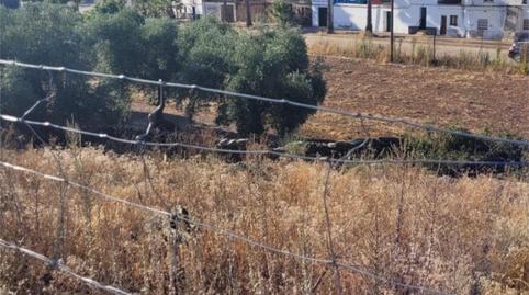 Photo 2 of Land for sale in Calle Cordel, 39, Puebla de Obando, Badajoz
