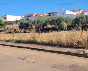 Land for sale in Puebla de Obando