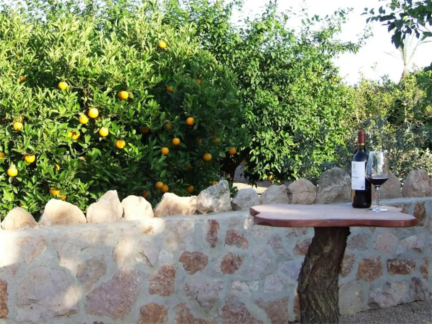 Urbanizable en venta en Pasaje Jorge, La Pinilla - Las Palas Jardín de Urbanizable en venta en Fuente Álamo de Murcia