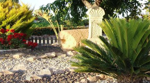 Constructible Land for sale in Pasaje Jorge, 23a, La Pinilla - Las Palas, Murcia - image 4 Photo 4 of Constructible Land for sale in Pasaje Jorge, 23a, La Pinilla - Las Palas, Murcia