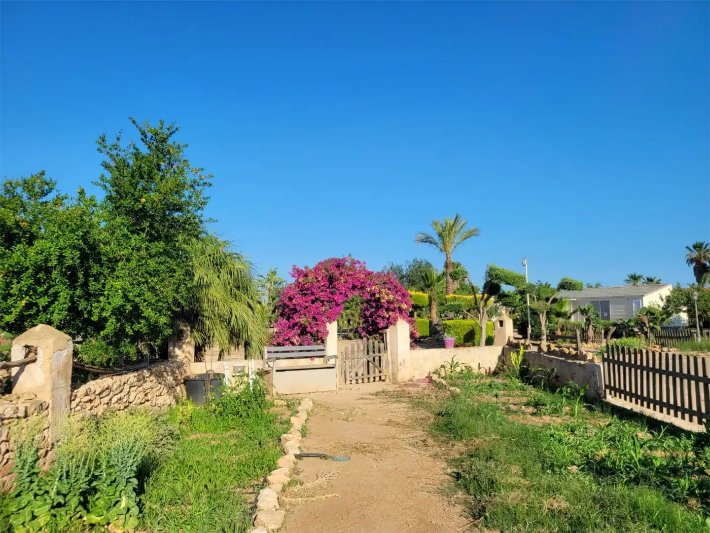 Urbanizable en venta en Pasaje Jorge, La Pinilla - Las Palas Jardín de Urbanizable en venta en Fuente Álamo de Murcia
