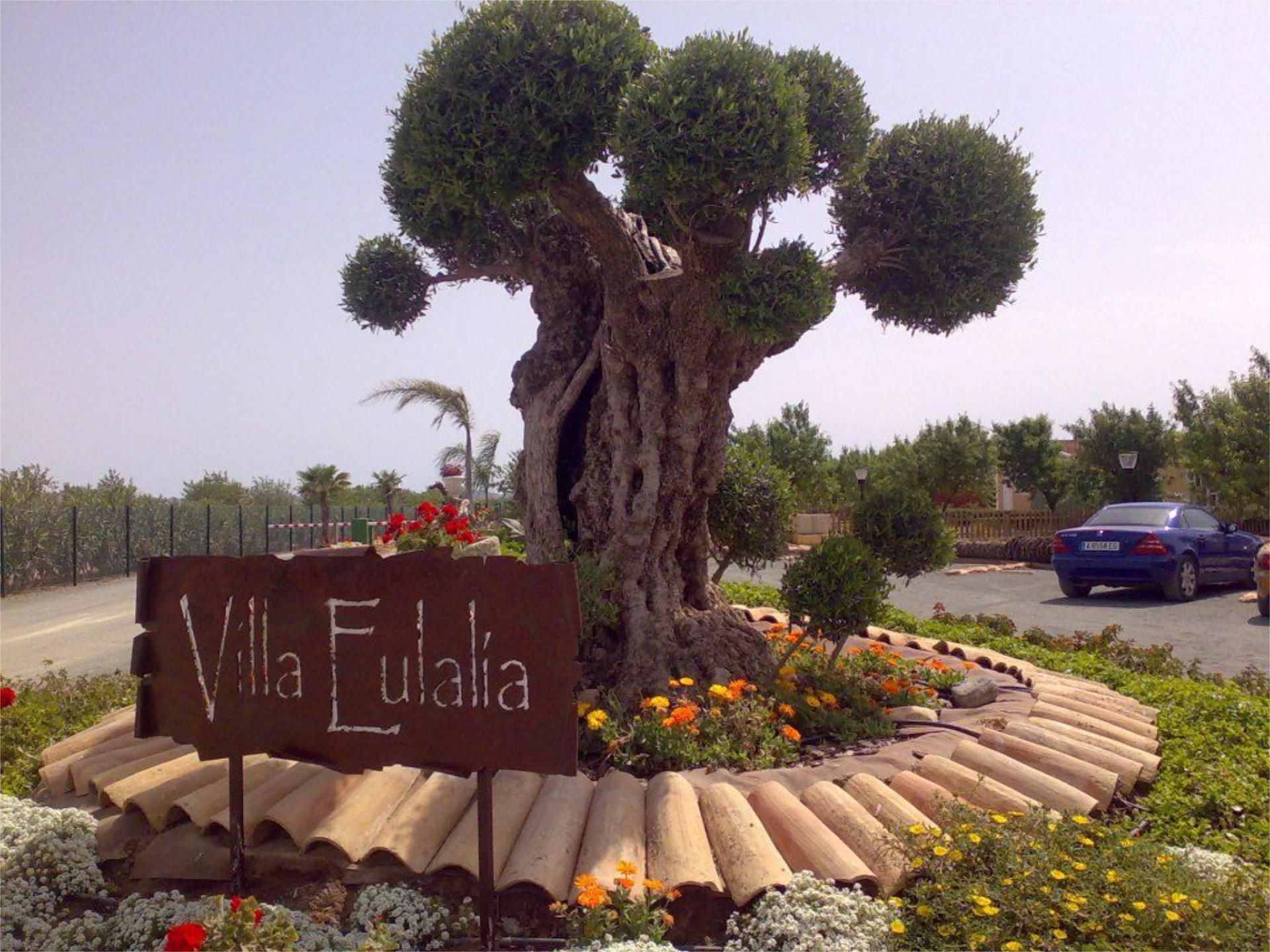 Constructible Land for sale in Fuente Álamo de Murcia