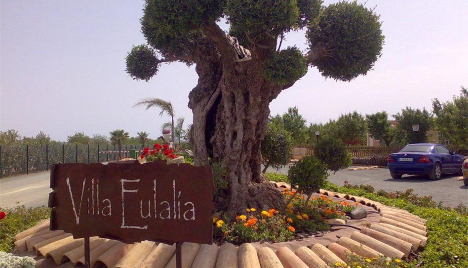 Constructible Land for sale in Pasaje Jorge, 23a, La Pinilla - Las Palas, Murcia - image 1 Photo 1 of Constructible Land for sale in Pasaje Jorge, 23a, La Pinilla - Las Palas, Murcia