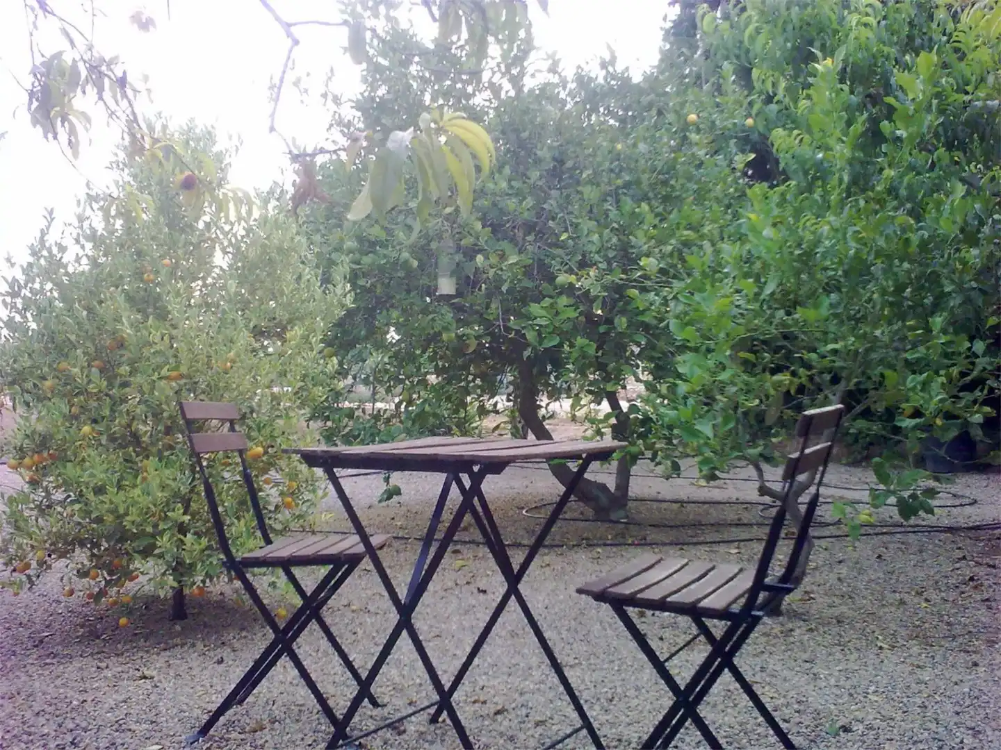 Urbanizable en venta en Pasaje Jorge, La Pinilla - Las Palas Jardín de Urbanizable en venta en Fuente Álamo de Murcia