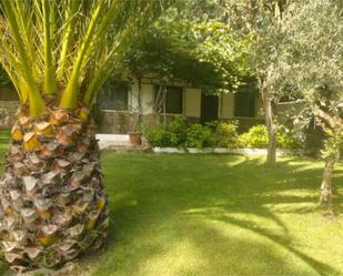 House or chalet to rent in Arenas de San Pedro