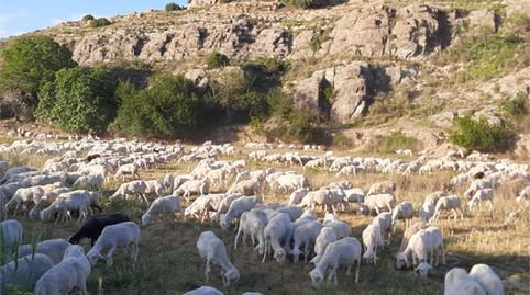 Finca rústica en venda a Calle Molino, 5, Dévanos, Soria - imatge 2 Foto 2 de Finca rústica en venda a Calle Molino, 5, Dévanos, Soria