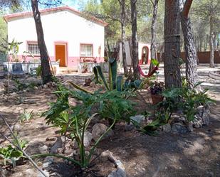 Jardí de Casa o xalet en venda en Tibi amb Terrassa