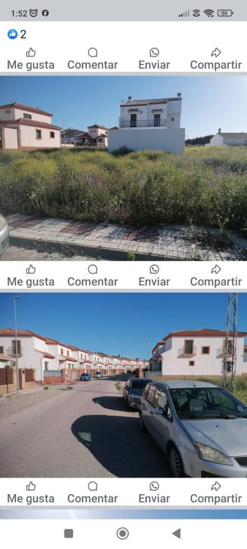 Vista exterior de Finca rústica en venda en Alcalá del Río