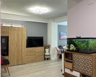 Sala d'estar de Pis en venda en Errenteria amb Aire condicionat