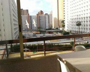 Terrassa de Apartament de lloguer en Benidorm amb Terrassa i Piscina