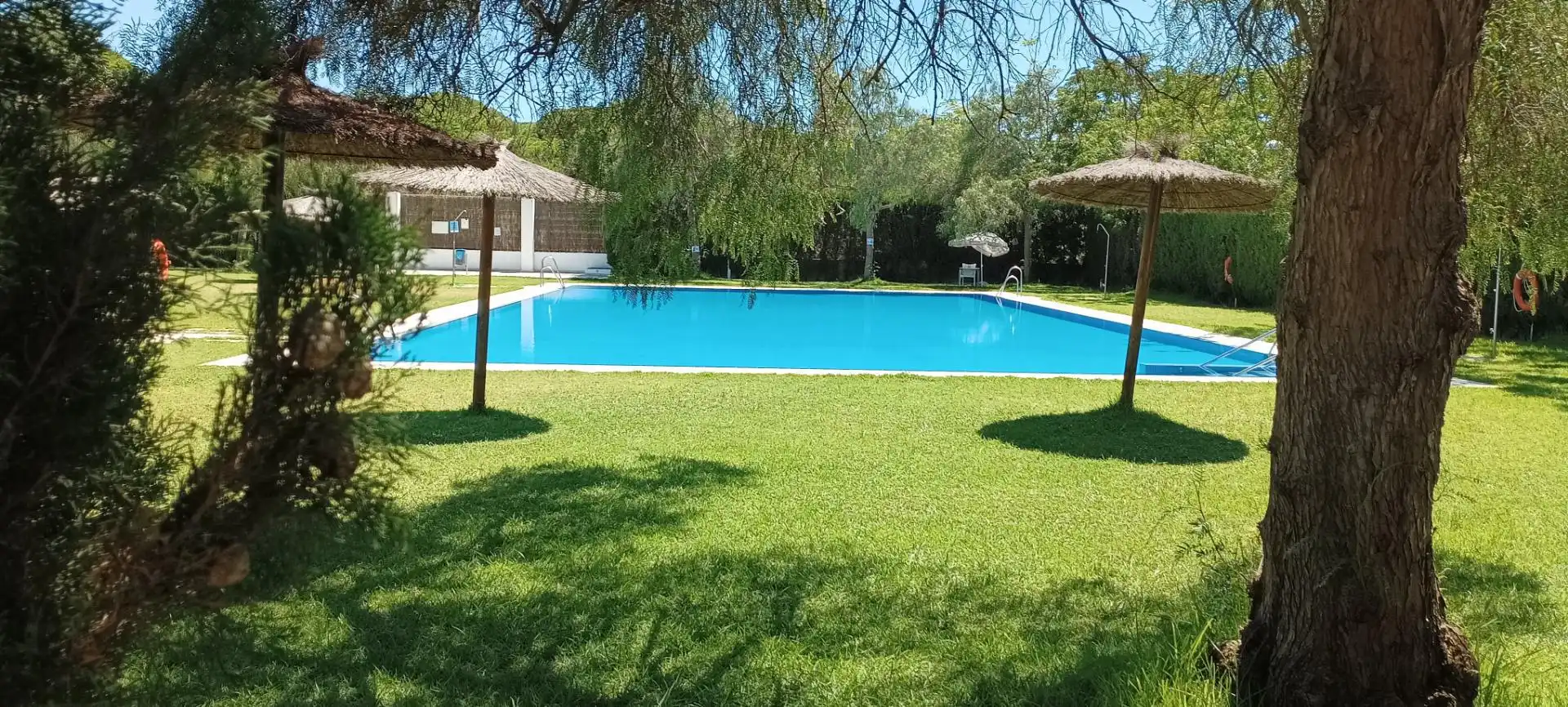Swimming pool of Flat for rent in Punta Umbría  with Air Conditioner, Heating and Private garden