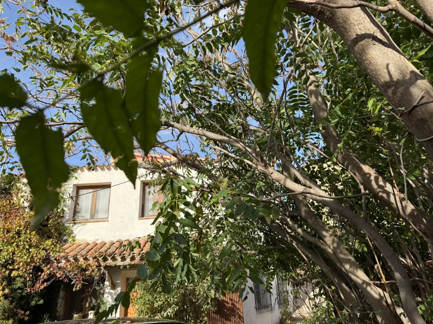 Houses for rent in Calle Fuensanta, 11, La Tova Houses for rent in Calle Fuensanta, 11, La Tova