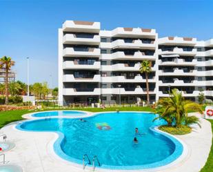 Swimming pool of Flat to rent in Elche / Elx  with Air Conditioner, Terrace and Swimming Pool