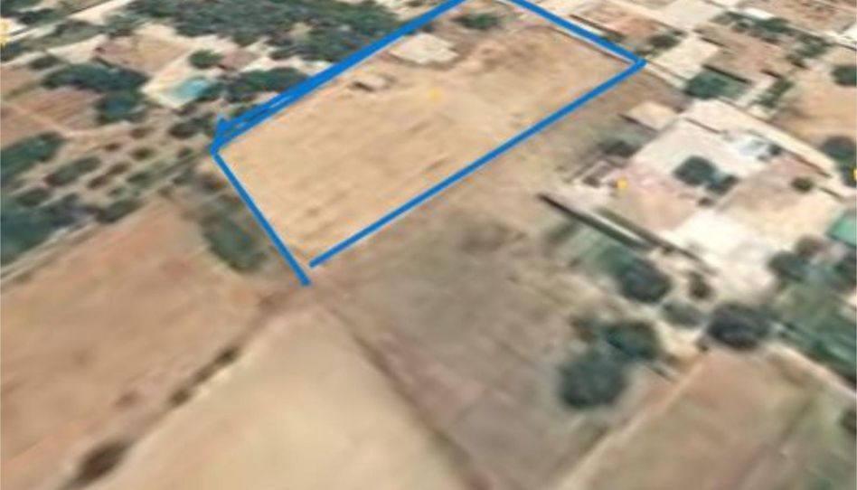 Terreno en venta en Carretera la Florida, 220, Barrio Nuevo, Conil de la Frontera - imagen 1 Foto 1 de Terreno en venta en Carretera la Florida, 220, Barrio Nuevo, Conil de la Frontera